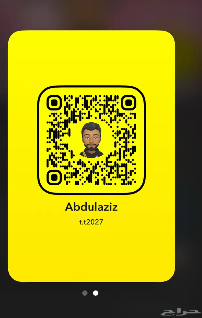 كلب مالينو بيور شرس للبيع 3