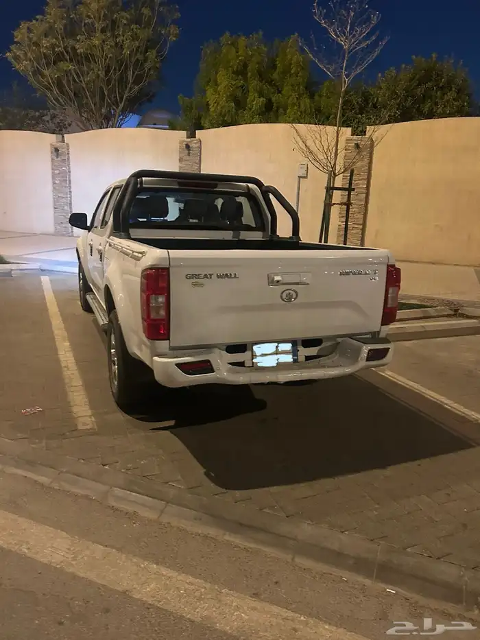 للبيع جريت وول ونجل 7 2023 3