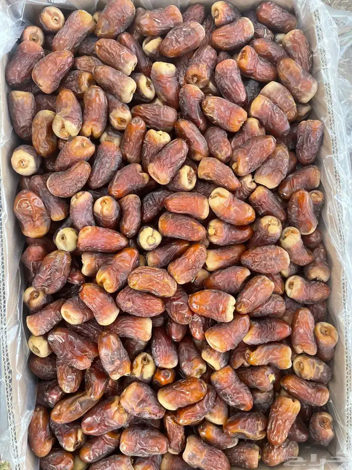 برني العيص الفاخر درجه اولى للبيع من المزرعه 0