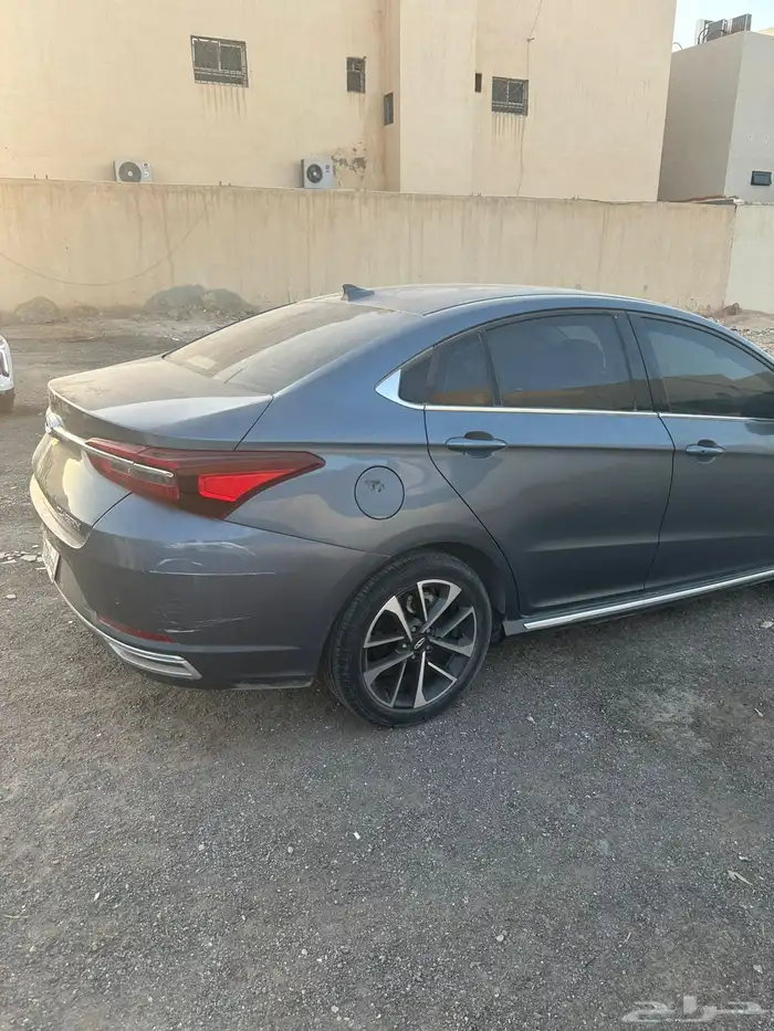 شيري اريزو 6 مصدوم 8
