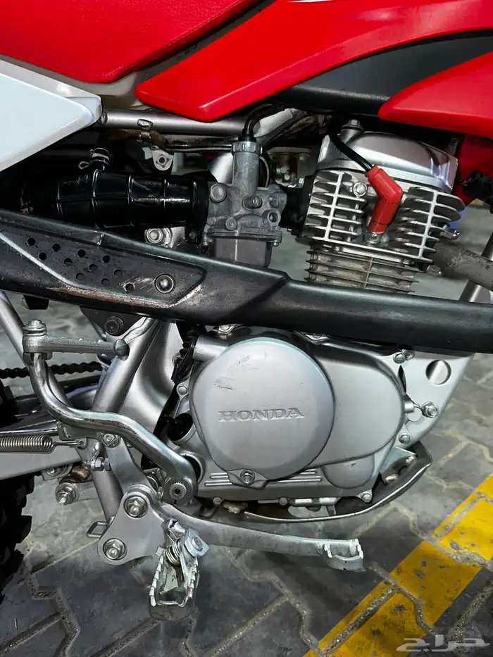دباب صحراوي crf100f 10