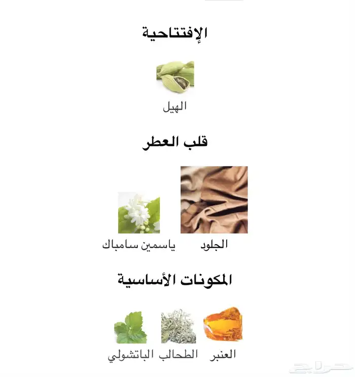 عطر بديل 5