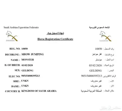 حصان قفز انجليزي بطل index