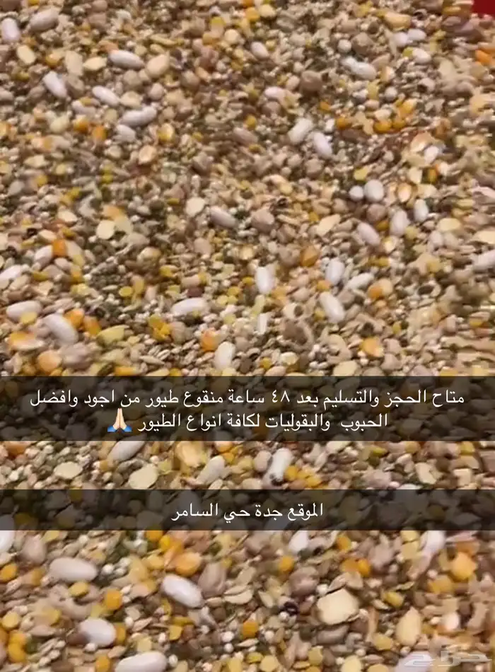 منقوع لكل انواع الطيور من افضل الخلطات 0