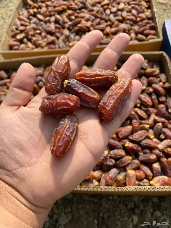 للبيع تمر مبروم العلا 2