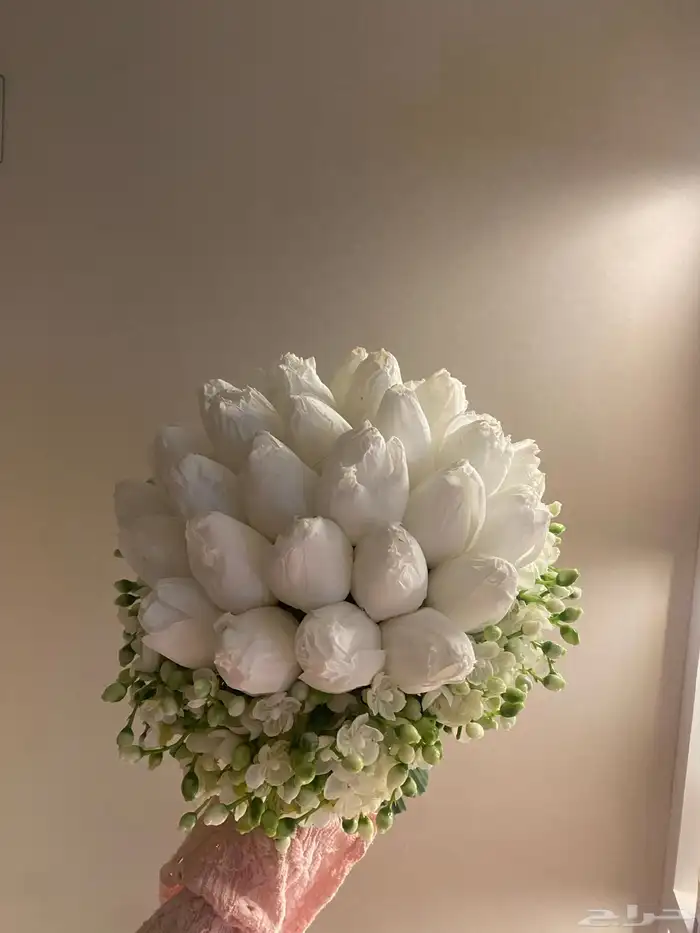مسكة عروس توليب 1