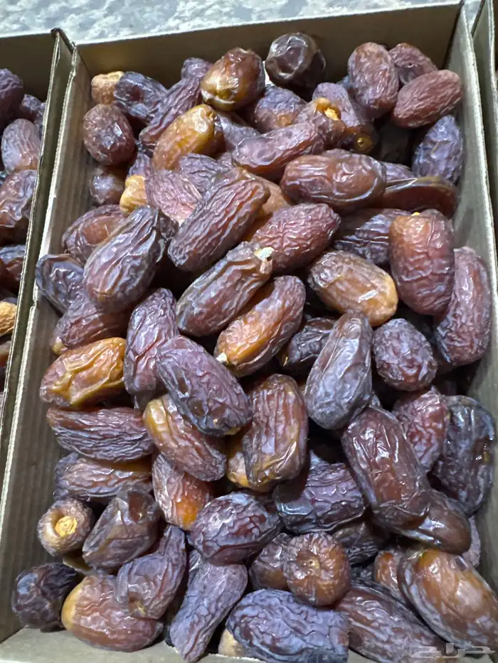 تمر مجدول .(فاخر). 3