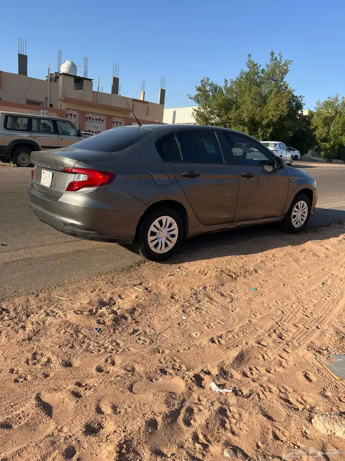 دوج نيون 13