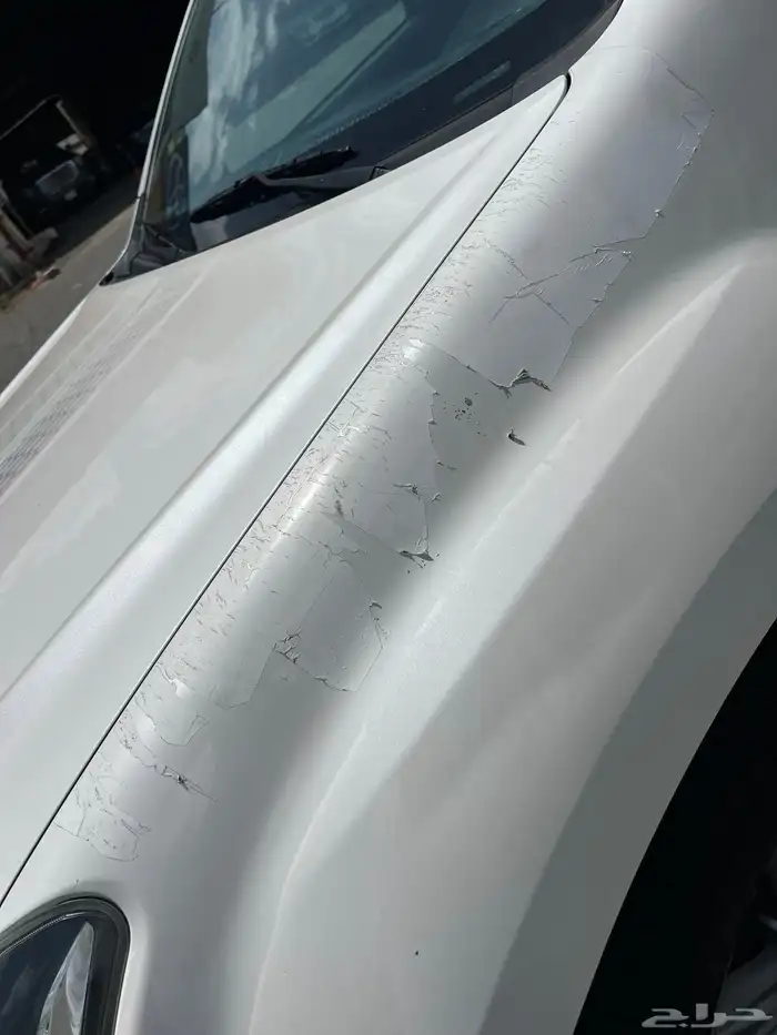اسيزو ديماكس 2018 12