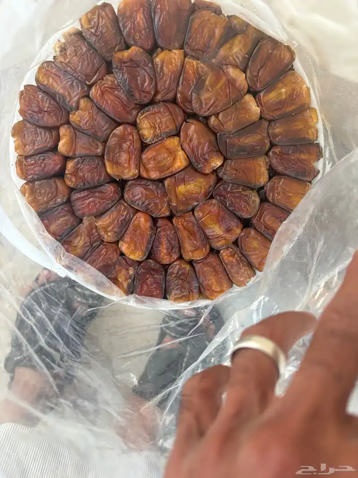 برني العيص 12