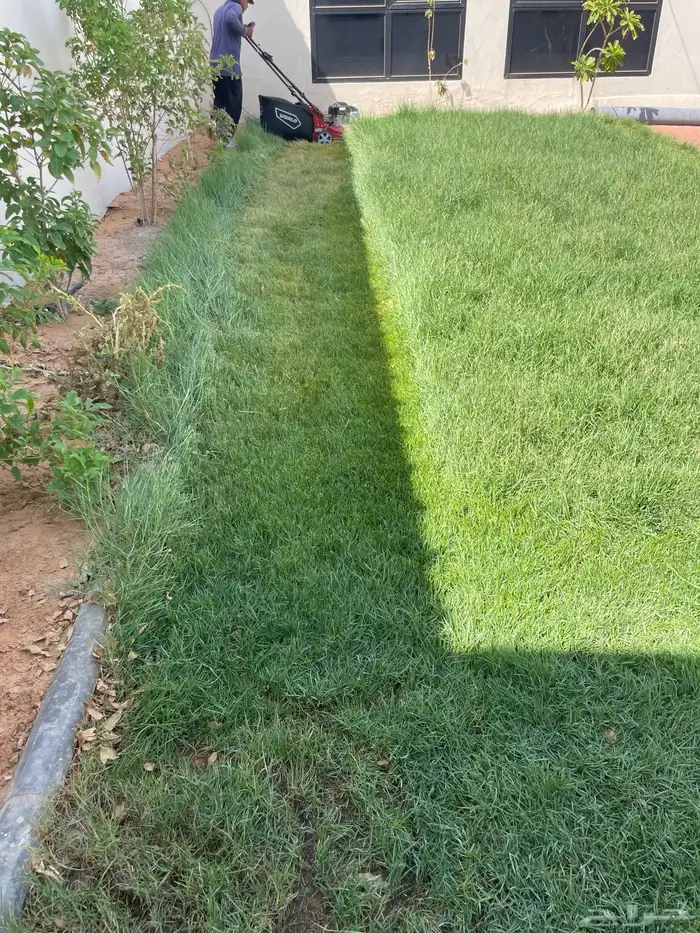 حصادة ثيل 4
