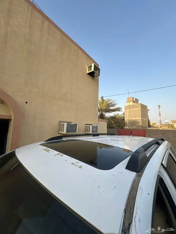 سكويا للبيع 10 2