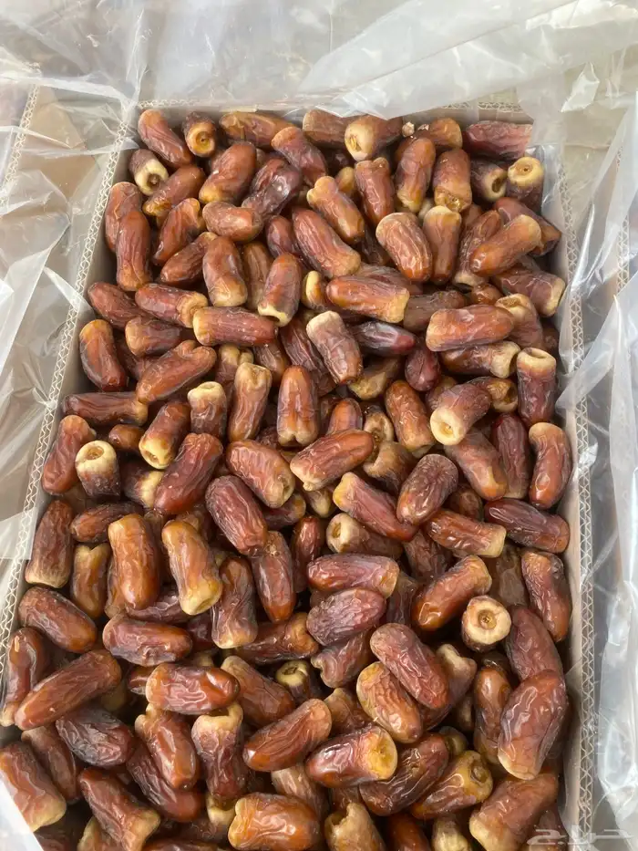 برني العيص 0