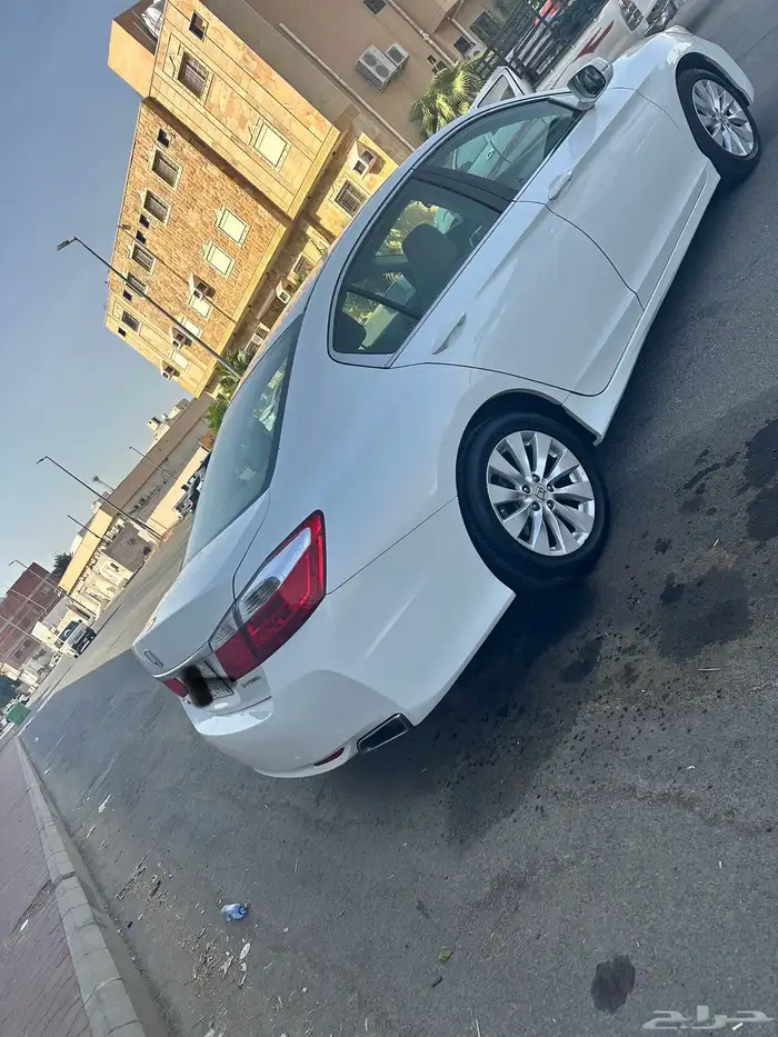 تم البيع تم البيع الله يبارك لراعيها 4