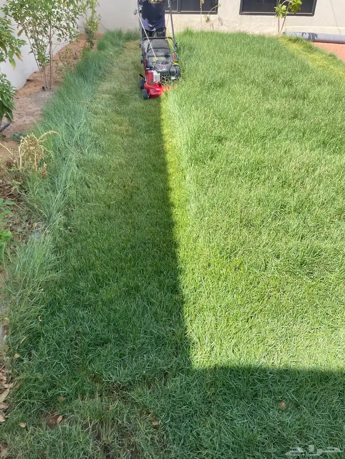 حصادة ثيل 2