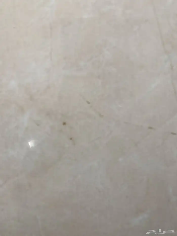 ابحث عن غرفه او غرفتين في حي الهجره او العزيزيه او ملحق 0