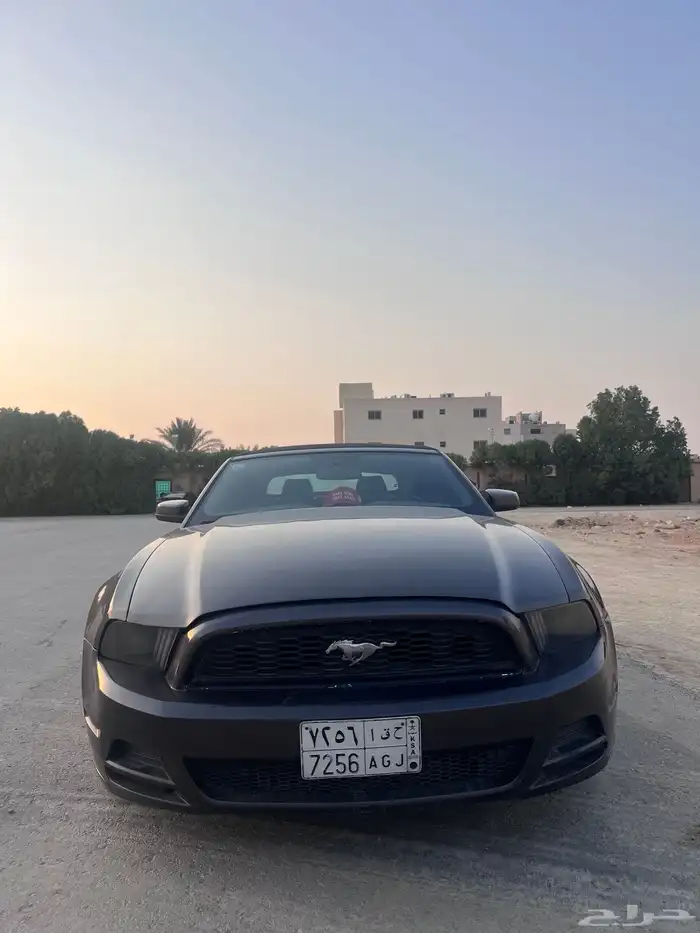 موستنج كشف 2013 convertible v6 3.7L Mustang 2