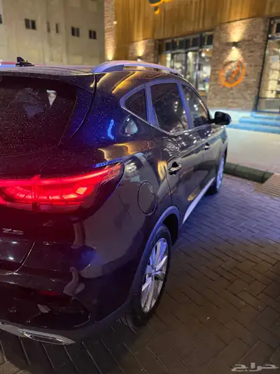 Mg zs 2021 index