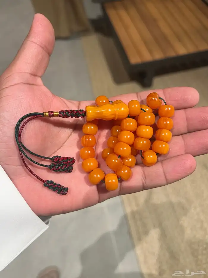 سندلوس لون مميز وكركوشة تفصال   عرض اليوم ب 100 0