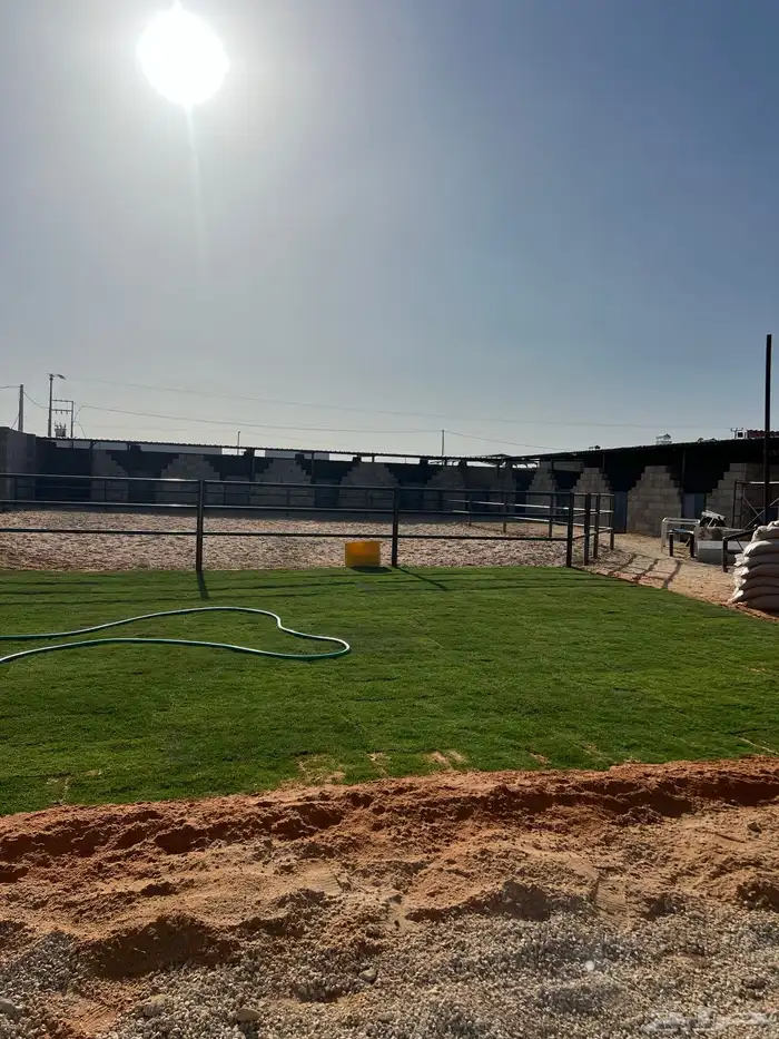 مربط النجايب إيواء الخيل شمال الرياض 0