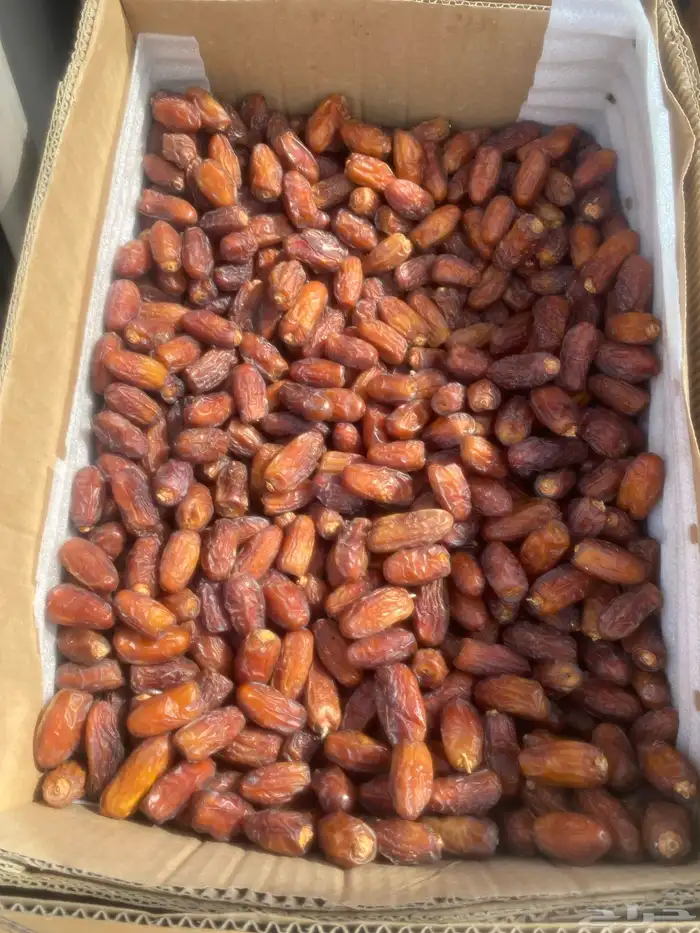 خميس مشيط 0