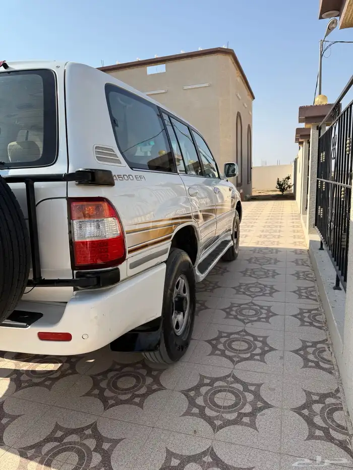 الدوادمي. رفايع الجمش 3