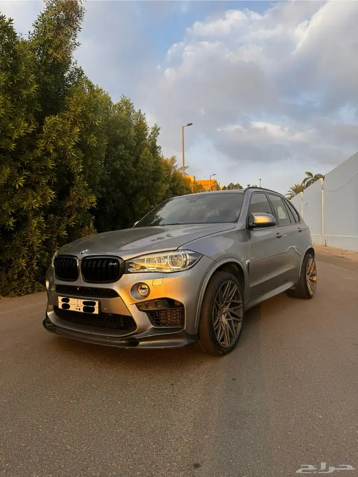 Bmw x5 M Power 1
