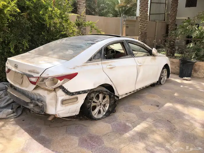 سوناتا تشليح 1