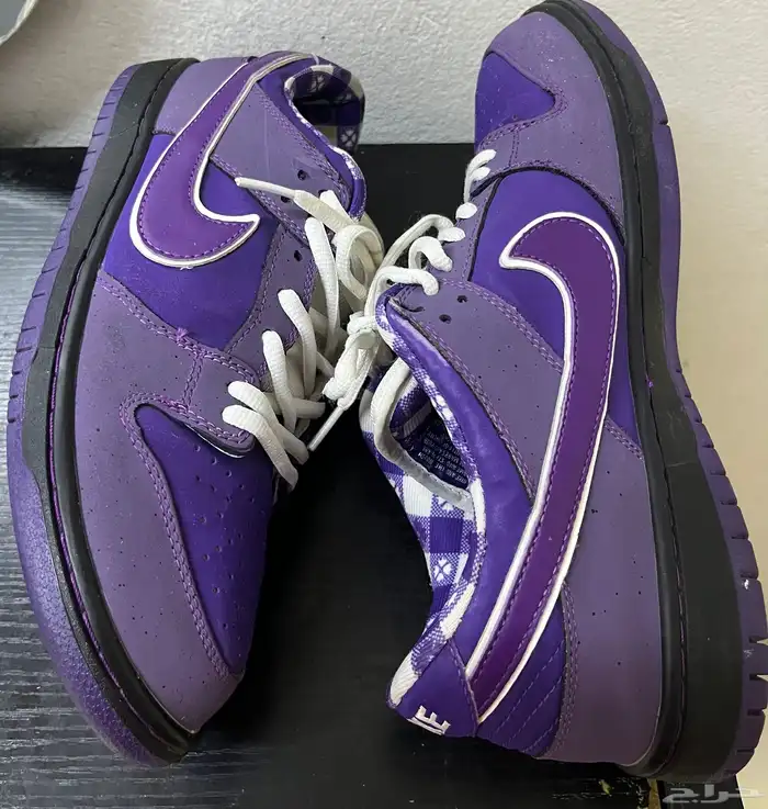 حذاء نايك Nike sb dunk 1