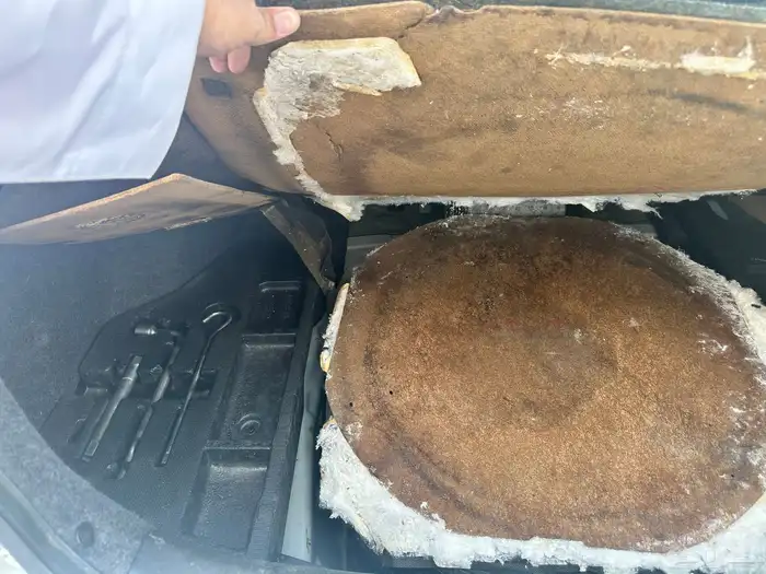 تم البيع تم البيع الله يبارك لراعيها 24