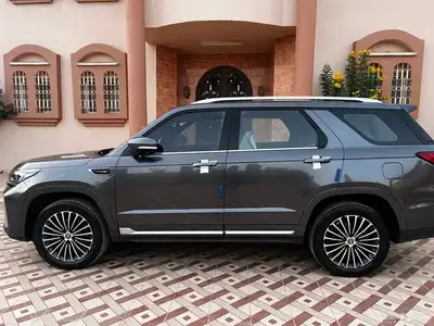 شانجان CS95 - 2021 - بلاتينيوم index