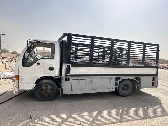 دينا ايسوزو 1998 2