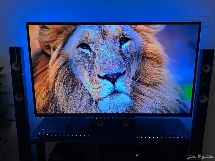 شاشه نيكاي 55بوصه 4K 2