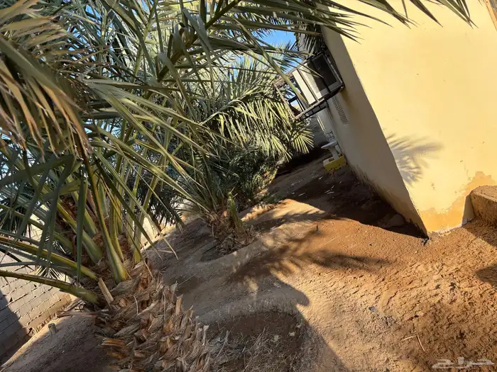 مزرعة للبيع 2