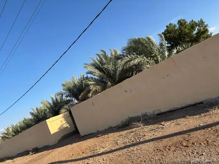 مزرعة للبيع 3