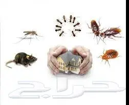 مكافحة حشرات بالرياض ورش مبيدات صراصير نمل بق الفراش index