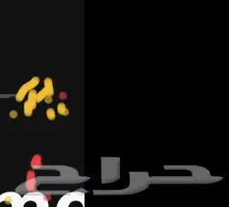 ابحث عن شقه عوائل صغيره في المحمديه 0