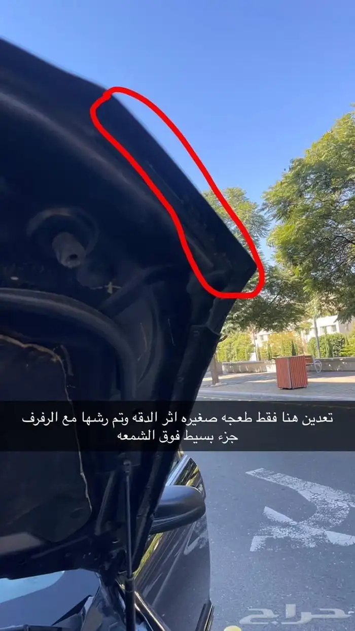 تورس 12