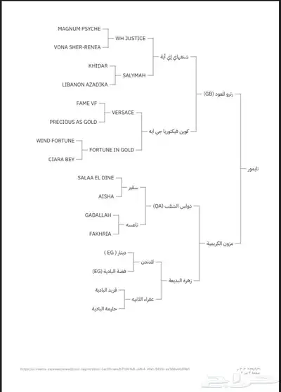 حصان عربي اصيل ورق index