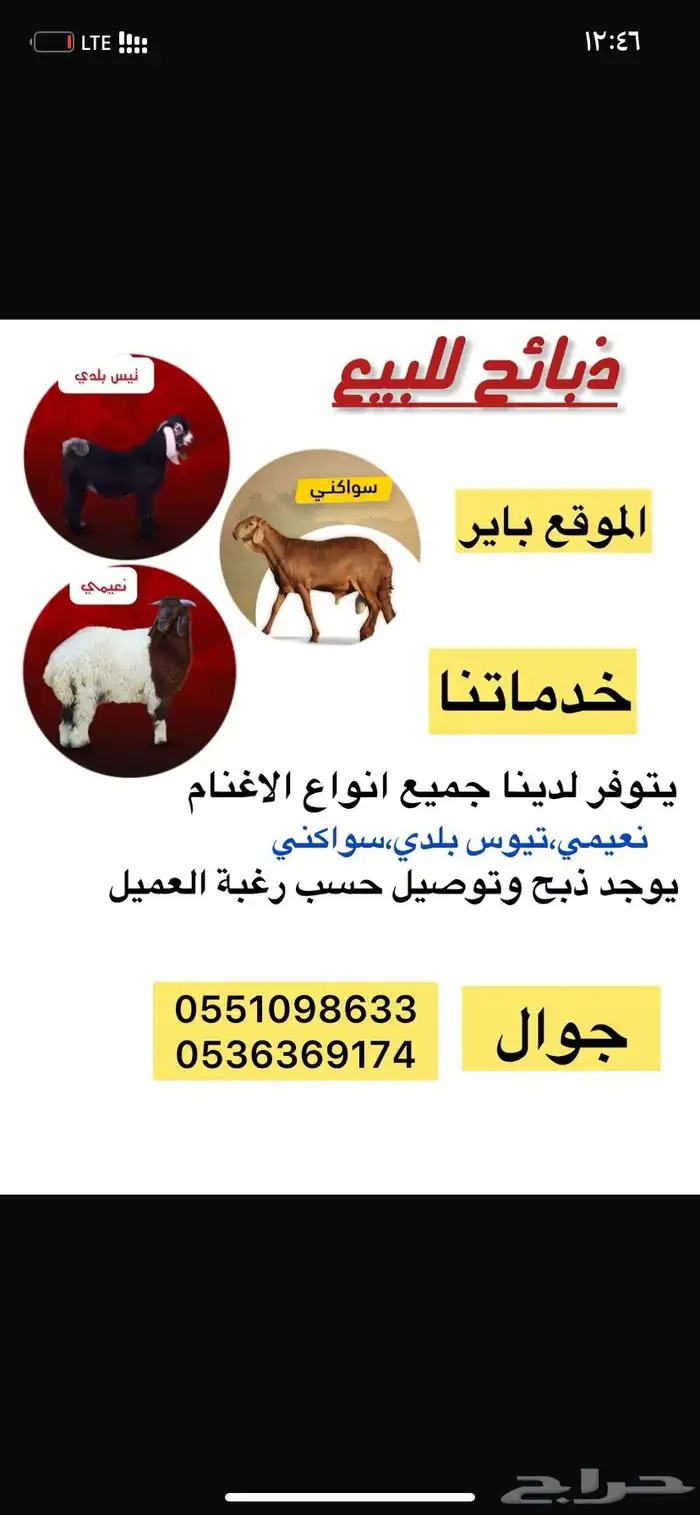 ذبايح للبيع 0