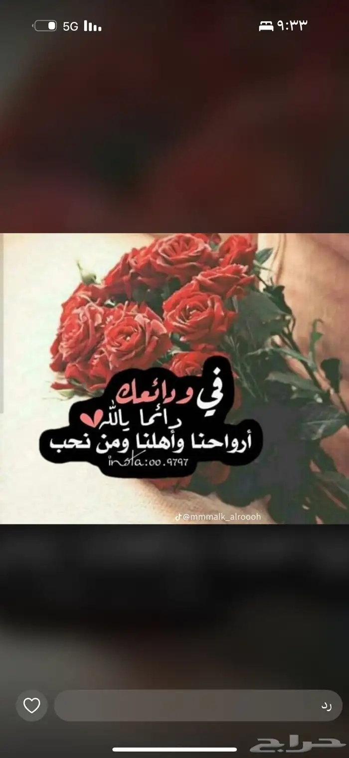 معلمة تاسيس ومتابعه حي المنصوره خنشليله 0