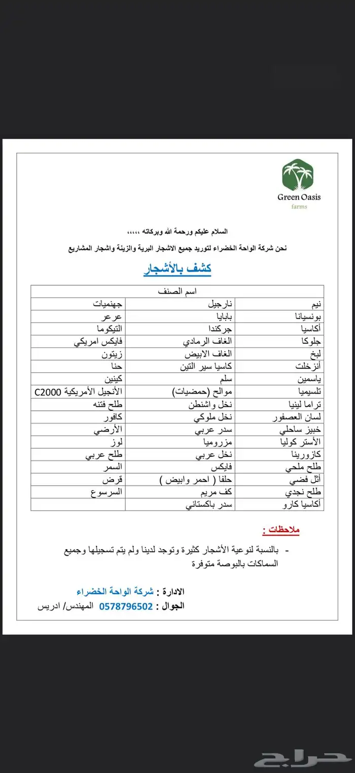 توريد اشجار 0