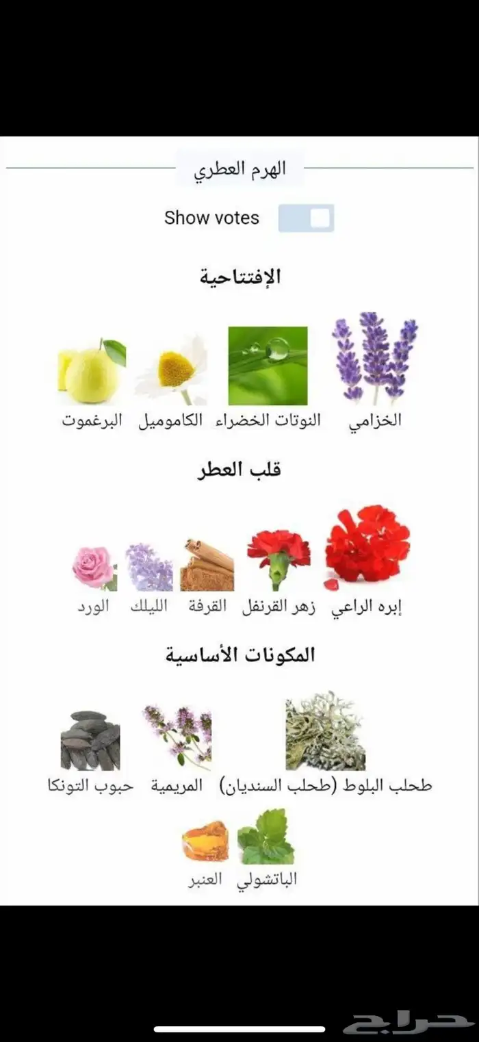 عطر فوجير رويال 2