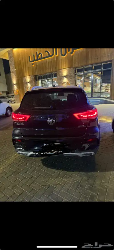 Mg zs 2021 index