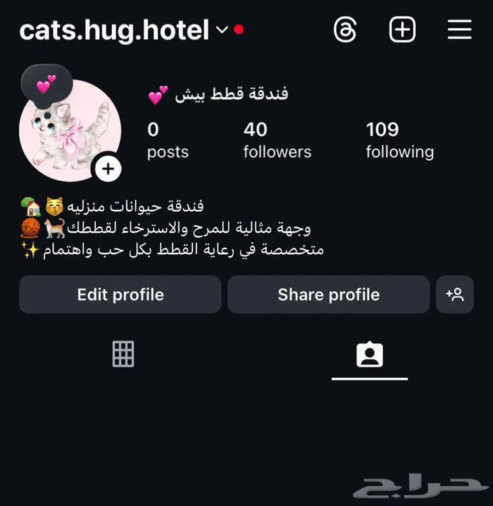 فندقة للقطط 0