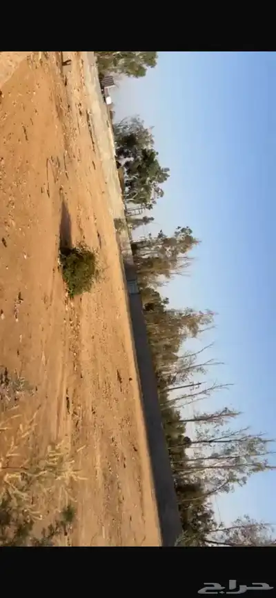 طريق المدينه 0