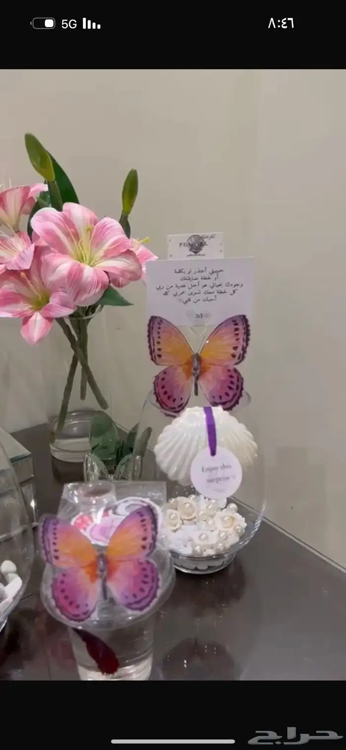 سمك فايتر هديه 13