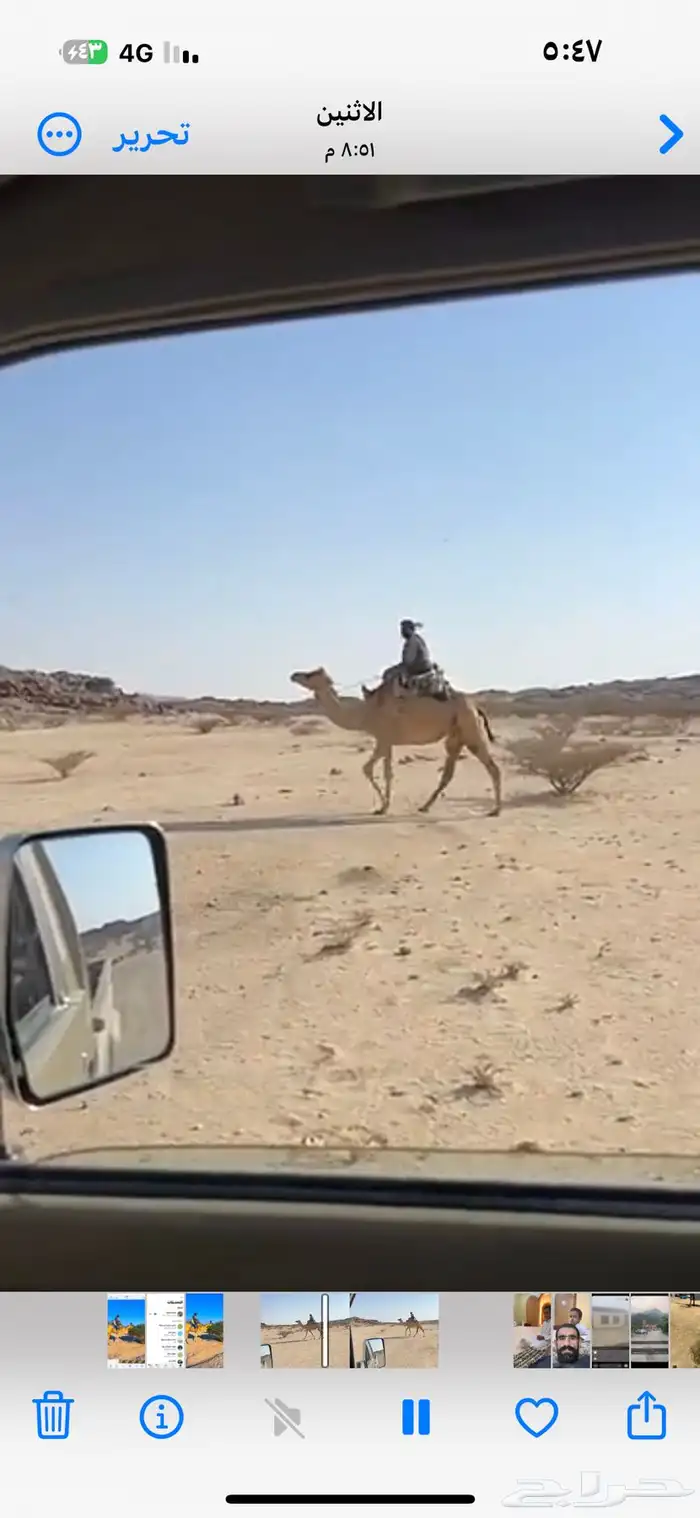 رحول ابل قديمه 0