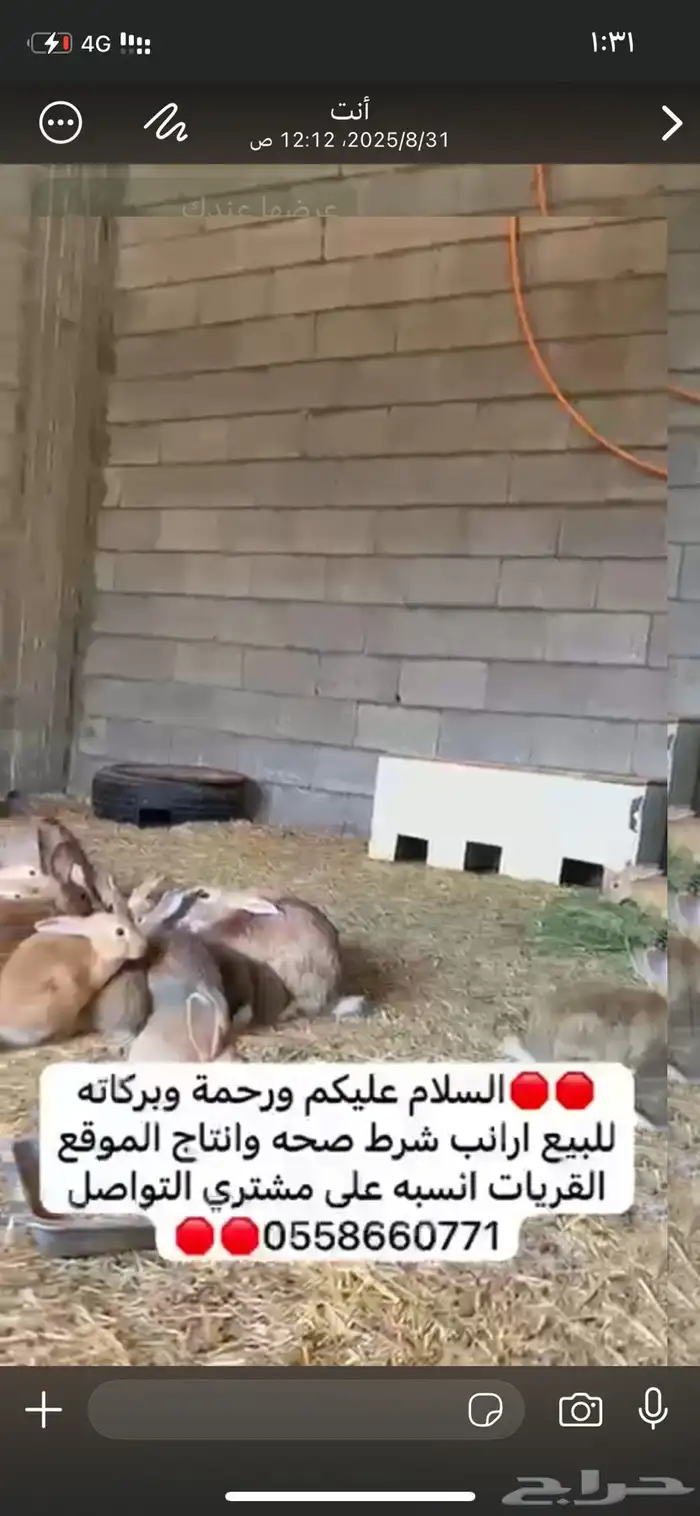 ارانب 1