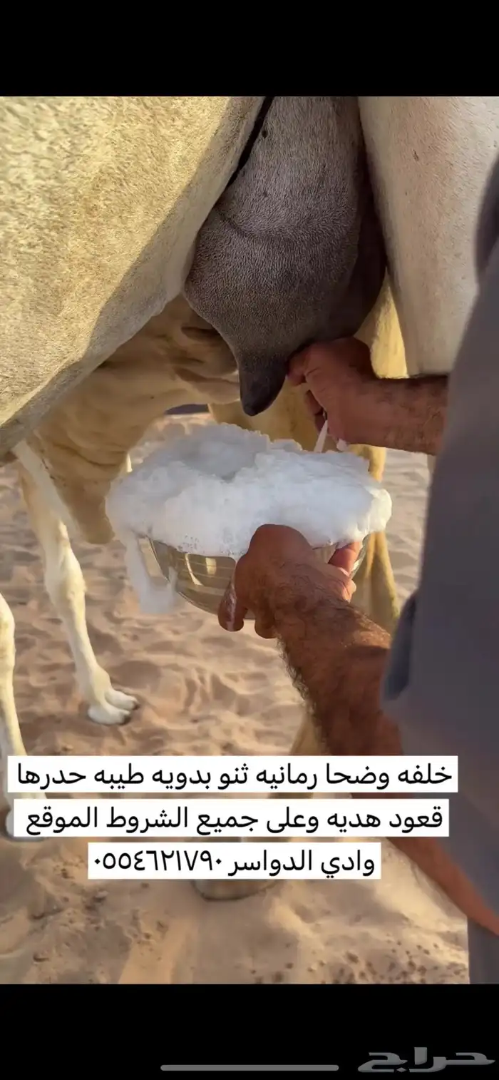 خلفه وضحا حليبها واجد وحالي وهديه وهشه 0